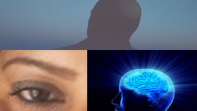 භෞතික ලෝකයට සවිඤ්ඤානයේ බලපෑම