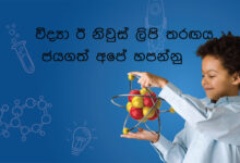 විද්‍යා ඊ නිවුස් ලිපි තරඟය ජයගත් අපේ හපන්නු