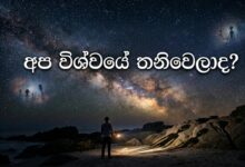 අප විශ්වයේ තනිවෙලාද?