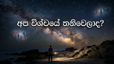 අප විශ්වයේ තනිවෙලාද?