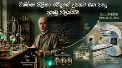 විකිරණ පිළිකා වේදයේ උපතට මඟ පෑදූ “අහඹු පිළිස්සීම”