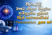 විකිරණශීලී ඖෂධවේදයේ විප්ලවය: සාම්ප්‍රදායික ප්‍රතිකාර වලින් තෙරනොස්ටික්ස් (Theranostics) යුගය කරා