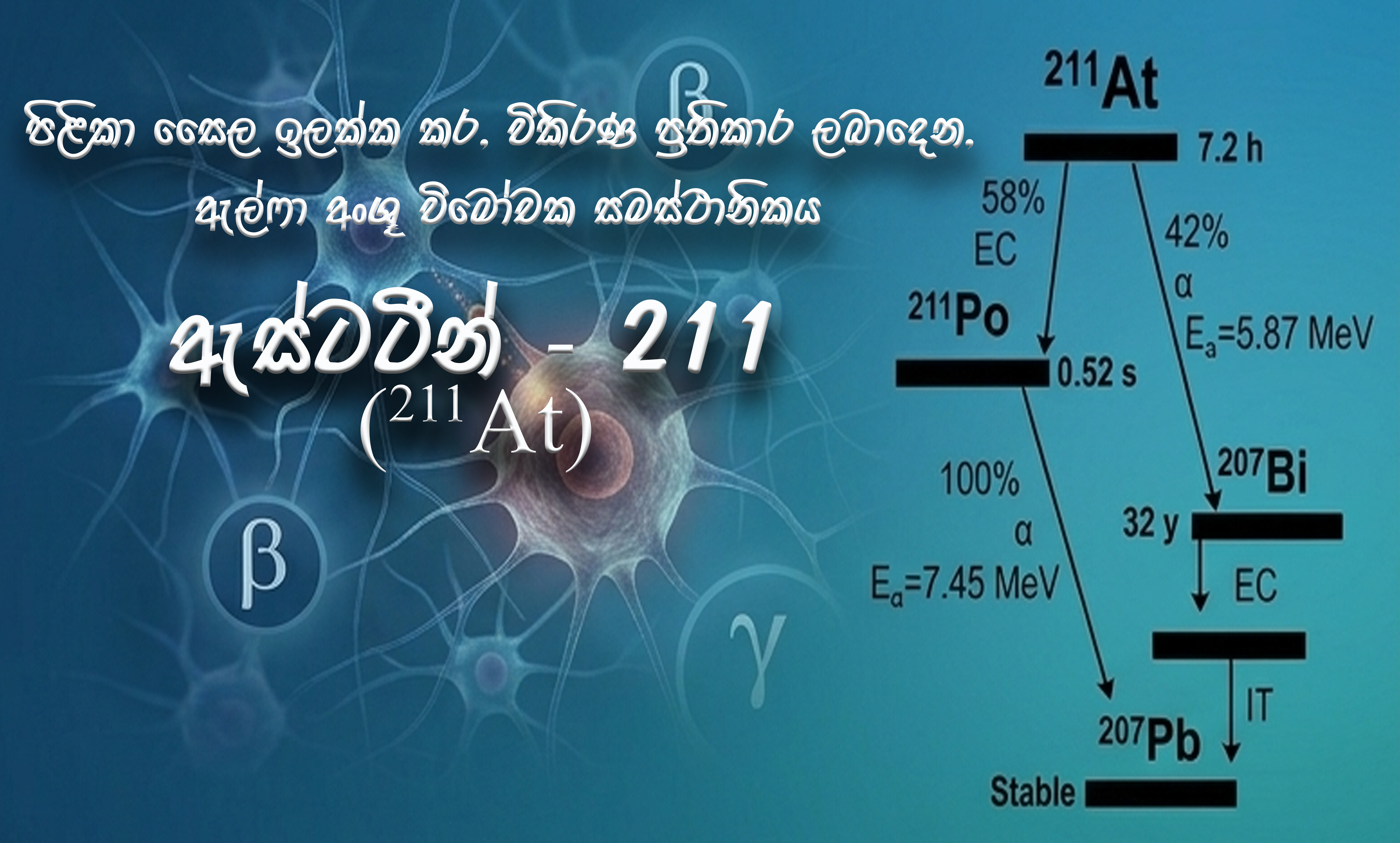 Astatine-211 (211At)  පිළිකා සෛල ඉලක්ක කර, විකිරණ ප්‍රතිකාර ලබා දෙන, ඇල්ෆා අංශු විමෝචක සමස්ථානිකය