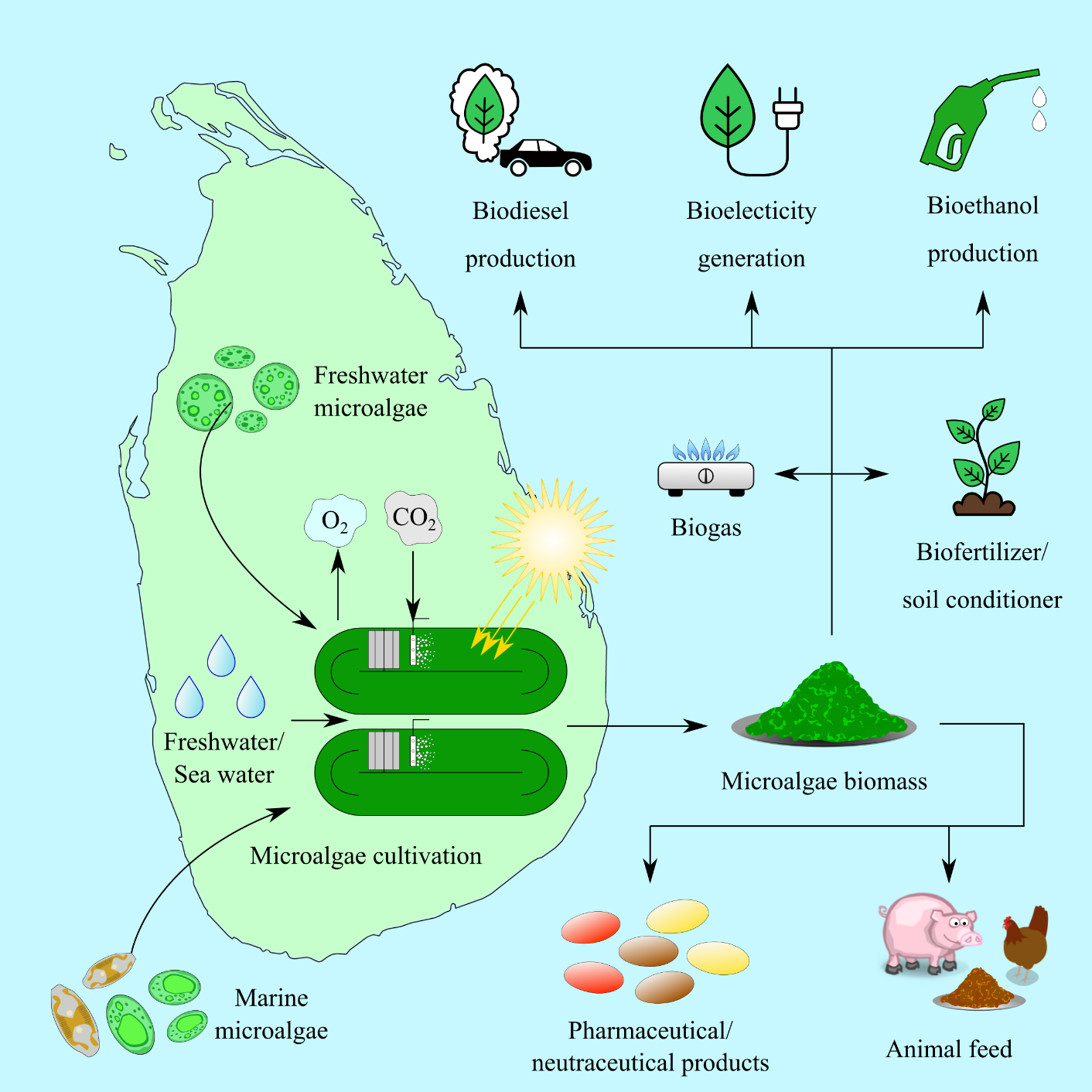 Microalgae for a Sustainable Bio-based Economy in Sri Lanka