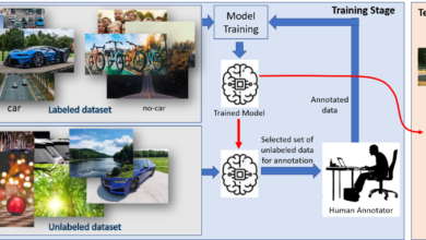 Levels of Supervision in Deep Learning