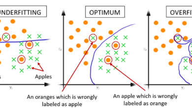 Overfitting in Deep Learning and Ways to Reduce It