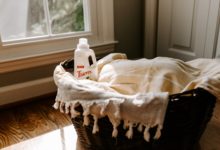 Bio-based Laundry Detergents: Biotechnology Invasion into Our Day-to-Day Lives