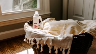 Bio-based Laundry Detergents: Biotechnology Invasion into Our Day-to-Day Lives
