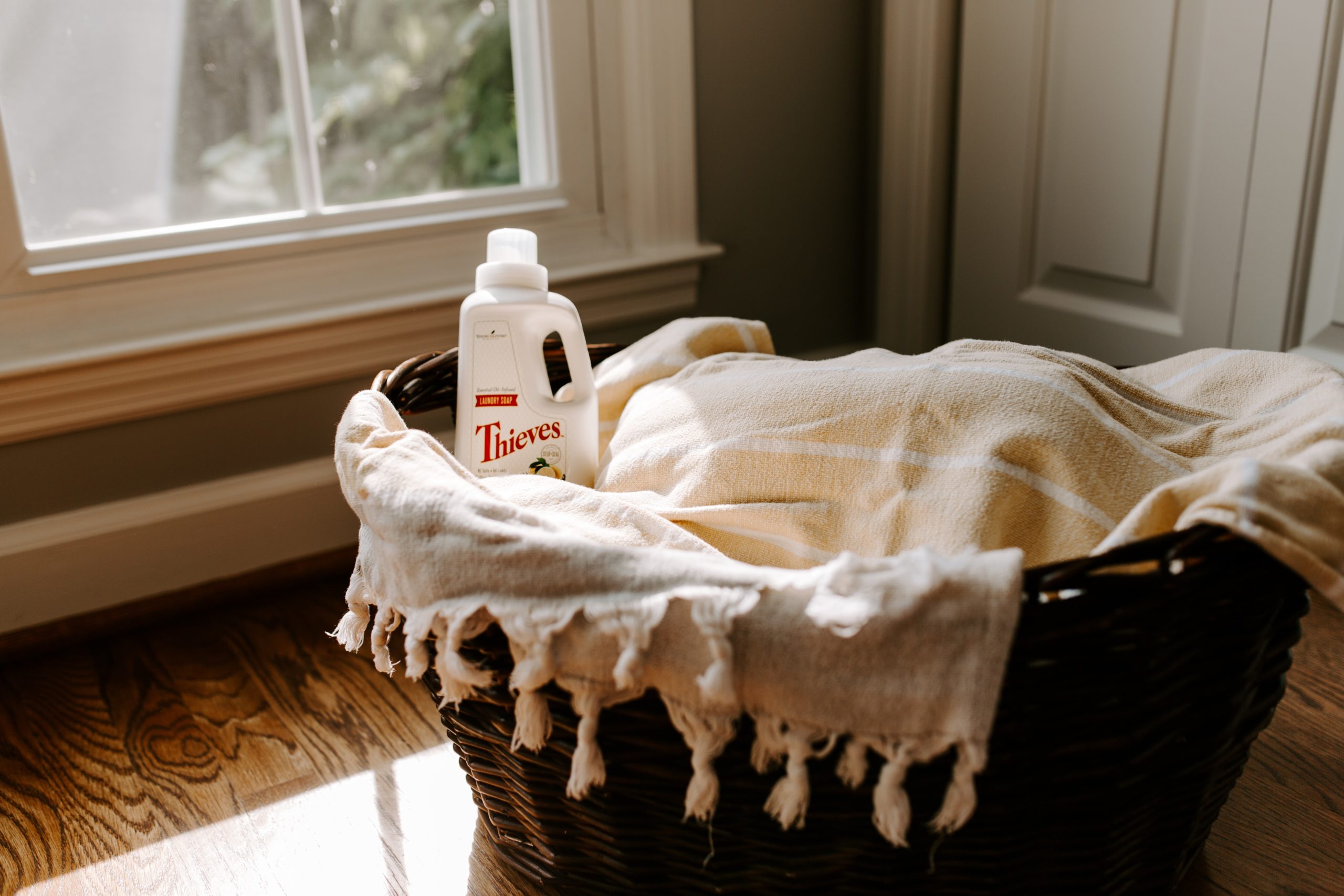 Bio-based Laundry Detergents: Biotechnology Invasion into Our Day-to-Day Lives Bio-based Laundry Detergents: Biotechnology Invasion into Our Day-to-Day Lives