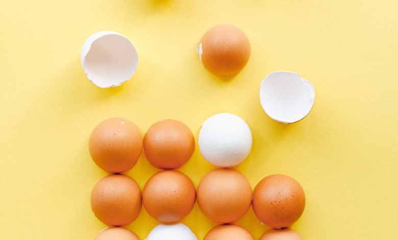 why are some chicken eggs are brown and some are white? why are some chicken eggs are brown and some are white?