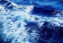 Earth’s Oxygen is Produced by the Ocean