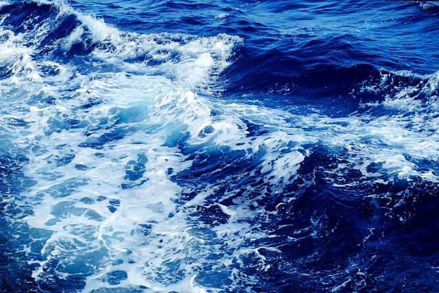 Earth’s Oxygen is Produced by the Ocean