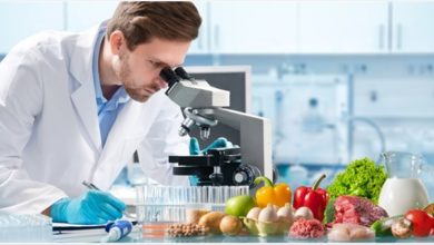 Biotechnology for Food Processing and Food Preservation
