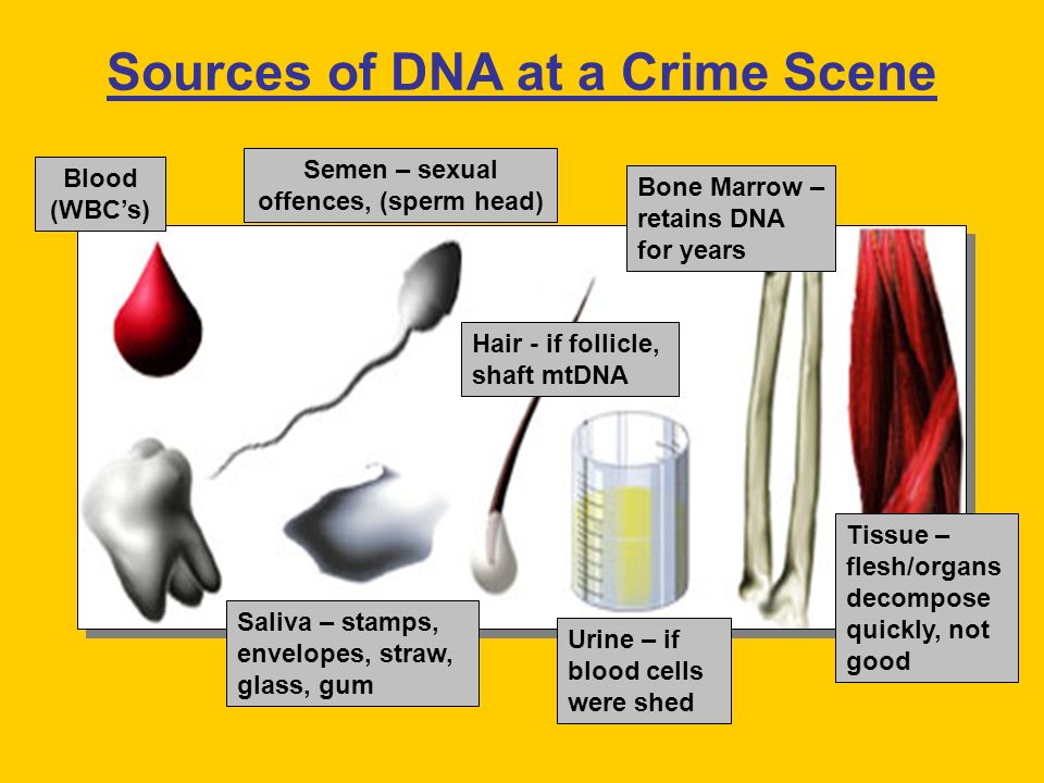 Bio Evidence FORENSIC TOXICOLOGY - Vidya E News