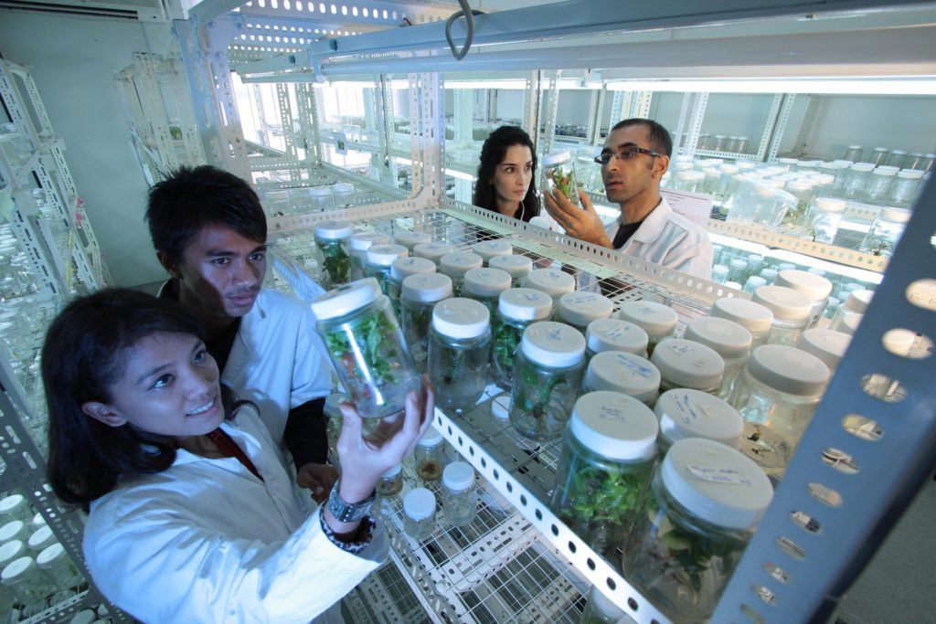 AGRITECH; The Agricultural Biotechnology in Today's World - Vidya E News