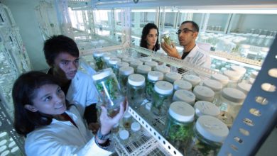 AGRITECH; The Agricultural Biotechnology in Today’s World