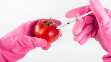 Enhancing the Nutritional Value of Biofortified Pro-Vitamin A Rice through Metabolic Engineering in Food Biotechnology