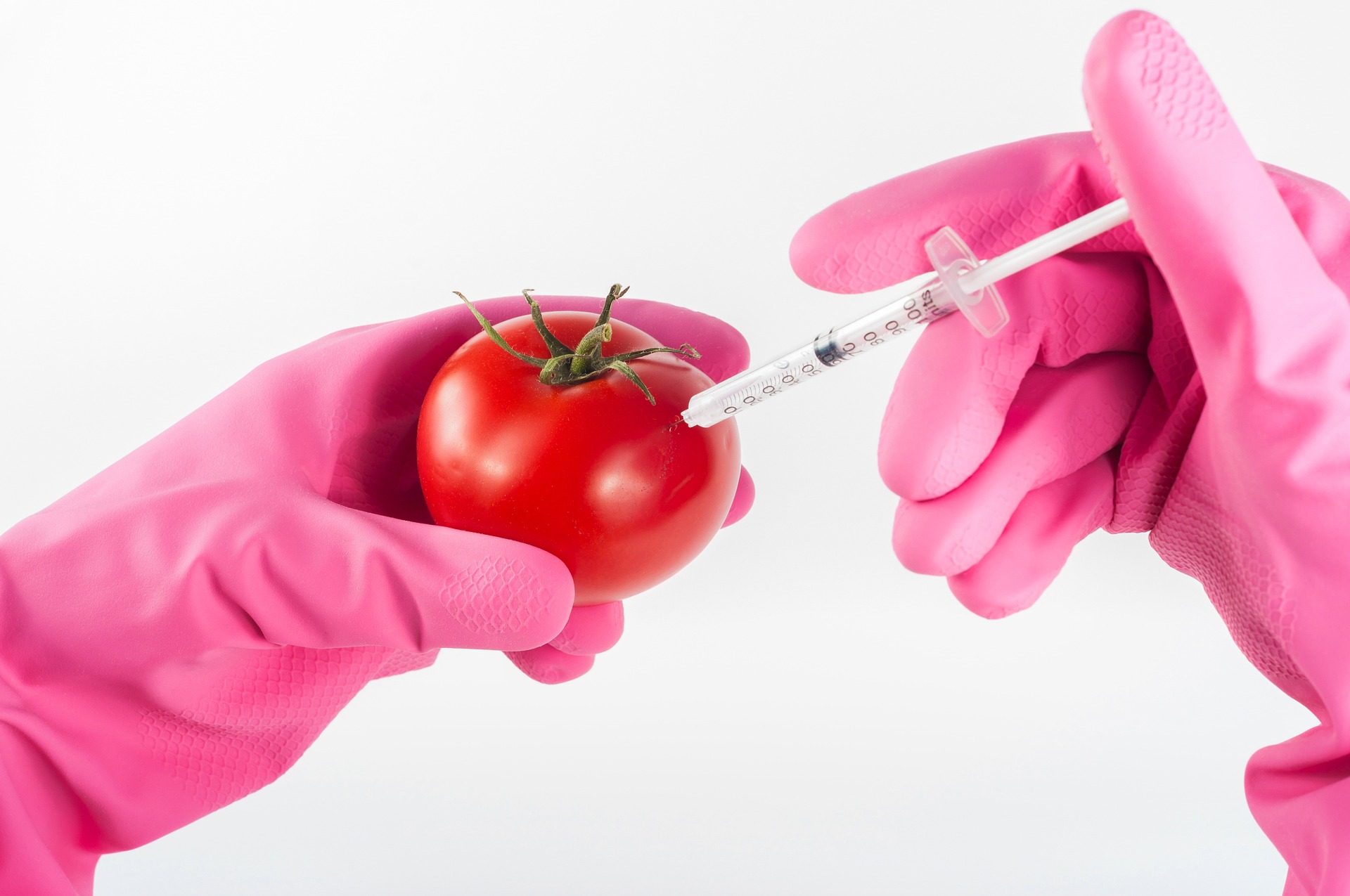 Enhancing the Nutritional Value of Biofortified Pro-Vitamin A Rice through Metabolic Engineering in Food Biotechnology Enhancing the Nutritional Value of Biofortified Pro-Vitamin A Rice through Metabolic Engineering in Food Biotechnology
