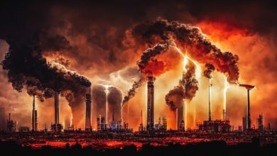 The Unexpected Rise of Air Pollution in Sri Lanka during the Latter Part of the Year 2022