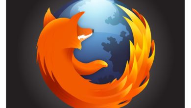 Do you know that the animal in the Mozilla Firefox logo is not a fox but a panda?