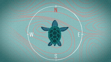 Do you know that birds, bees, whales, and turtles all use the earth’s magnetic field to guide their behavior?