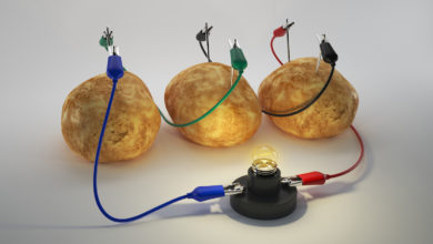 Did you know that you can power a light bulb with just a potato or two?