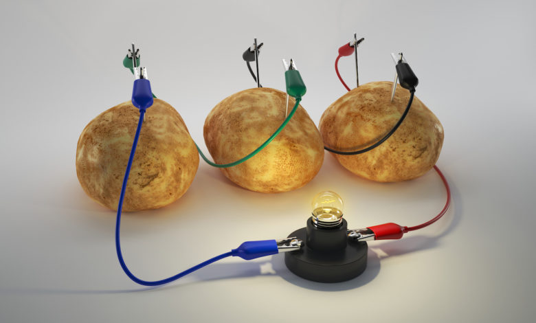 Did you know that you can power a light bulb with just a potato or two?