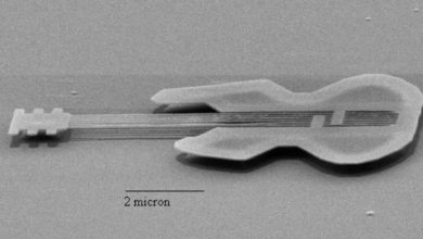 Did you know the world’s smallest guitar is about the size of a human blood cell?