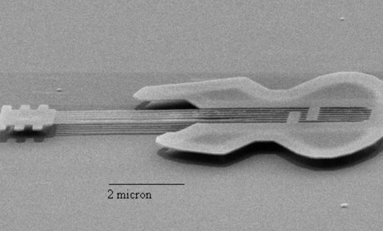 Did you know the world’s smallest guitar is about the size of a human blood cell?