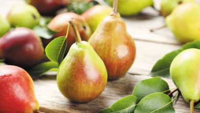 Have you ever wondered why do pears have a gritty texture?