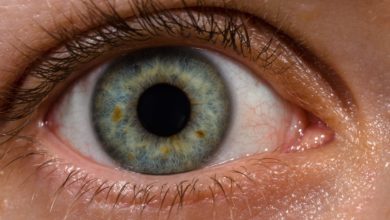 Have you ever wondered why do we have that pink globular spot at the inner corner of our eye?
