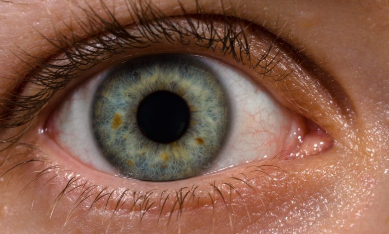 Have you ever wondered why do we have that pink globular spot at the inner corner of our eye?