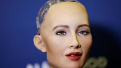 Have you heard about the world’s first robot citizen?