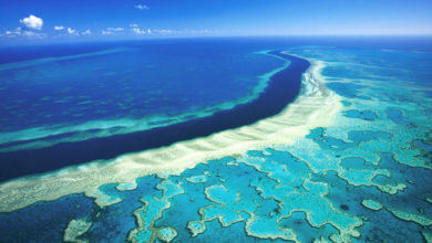 Have you heard about the world’s largest coral reef system?