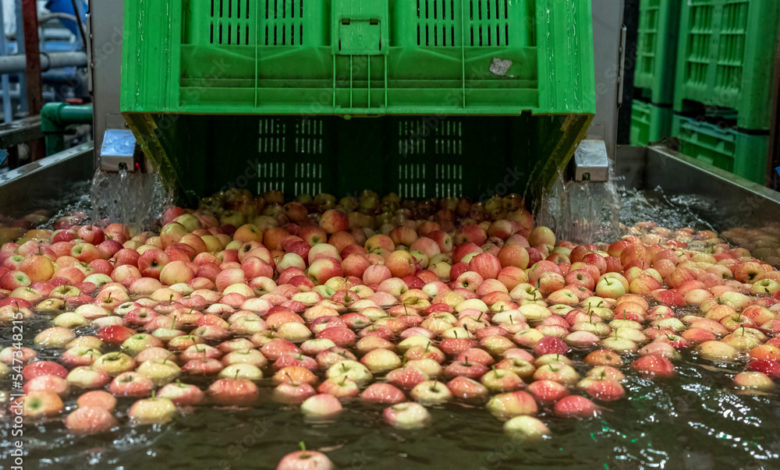 Have you ever tried putting an apple in water?