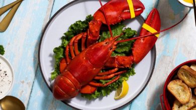 Did you know a lobster’s blood is colourless?