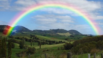Did you know that rainbows aren’t just arcs in the sky, they are actually full circles?