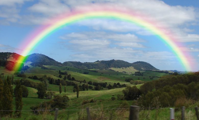 Did you know that rainbows aren’t just arcs in the sky, they are actually full circles?