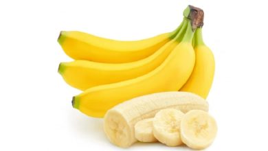Why bananas are curved shape?