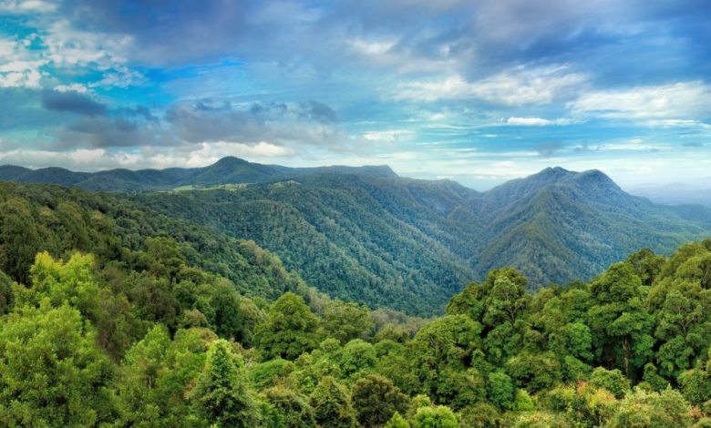 Restoration of Degraded Lands through Assisted Natural Regeneration