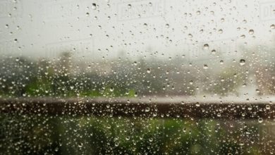 Do you know the shape of a raindrop?