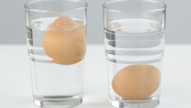 Do you know the reason why fresh eggs float in water and rotten eggs sink in water?