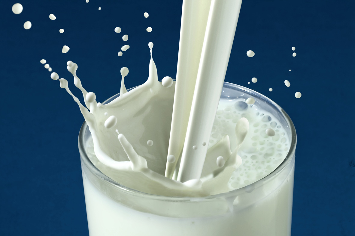 Why is milk white in color?