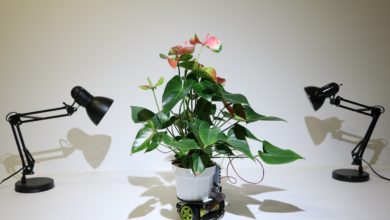 Have you come across a robot which helps the growth of plants?
