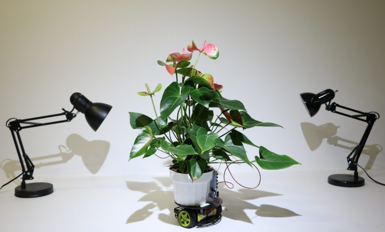 Have you come across a robot which helps the growth of plants? Have you come across a robot which helps the growth of plants?