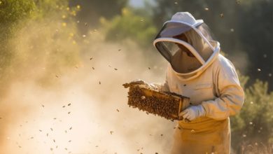 Smoke is probably the most effective way of getting honey bees away. Do you know why?