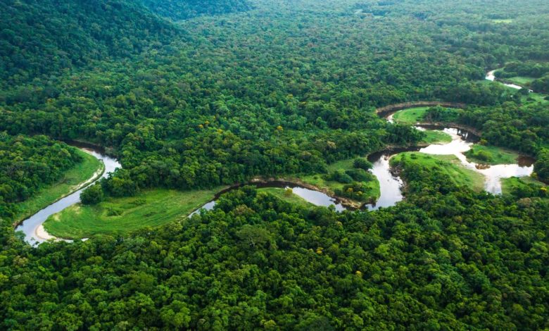 Did the Amazon originate from black soil?