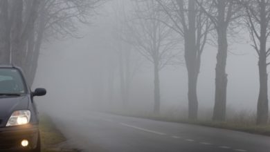 Did you know that in some countries “fog” is used as a source of water?
