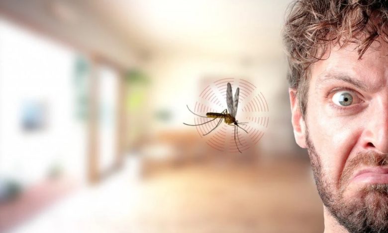 Have you thought how mosquitoes and bees buzz?