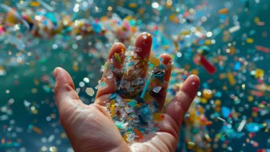 Current Status of the Microplastic Pollution in Sri Lanka: A Macro Environmental Crisis